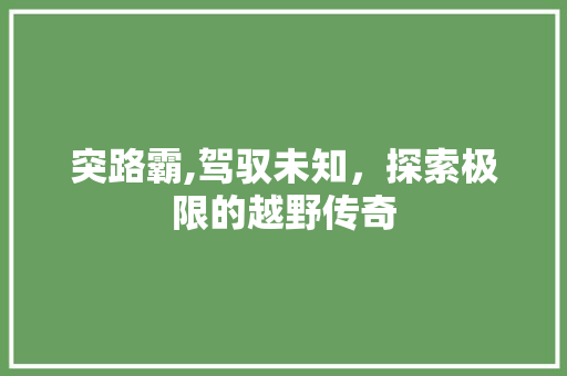 突路霸,驾驭未知，探索极限的越野传奇