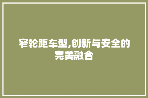 窄轮距车型,创新与安全的完美融合