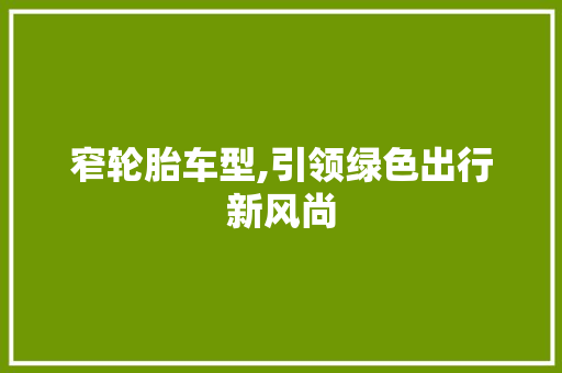 窄轮胎车型,引领绿色出行新风尚