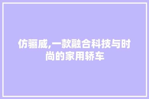 仿骊威,一款融合科技与时尚的家用轿车