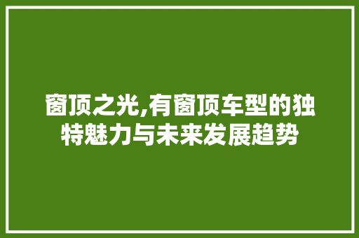 窗顶之光,有窗顶车型的独特魅力与未来发展趋势