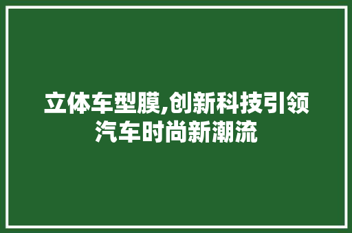 立体车型膜,创新科技引领汽车时尚新潮流
