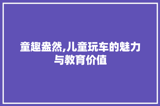 童趣盎然,儿童玩车的魅力与教育价值 变速箱配件