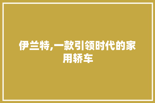 伊兰特,一款引领时代的家用轿车