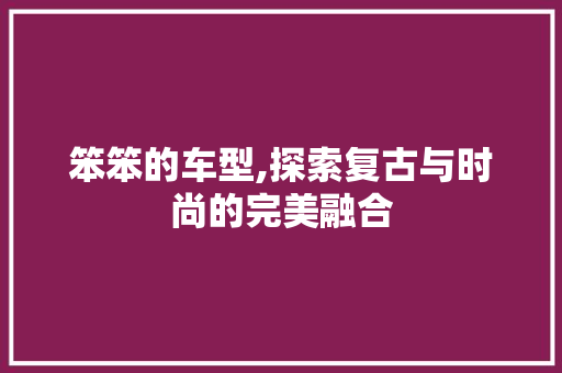 笨笨的车型,探索复古与时尚的完美融合