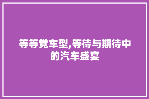 等等党车型,等待与期待中的汽车盛宴