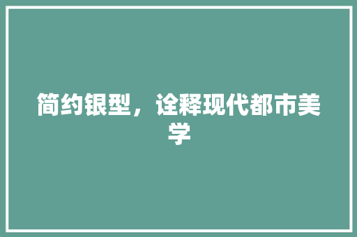 简约银型，诠释现代都市美学
