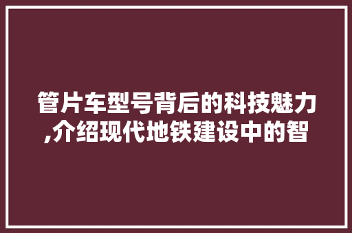 管片车型号背后的科技魅力,介绍现代地铁建设中的智慧力量