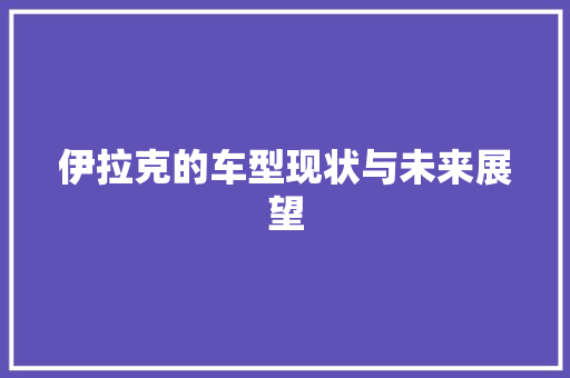 伊拉克的车型现状与未来展望