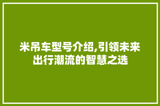 米吊车型号介绍,引领未来出行潮流的智慧之选