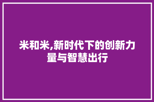 米和米,新时代下的创新力量与智慧出行