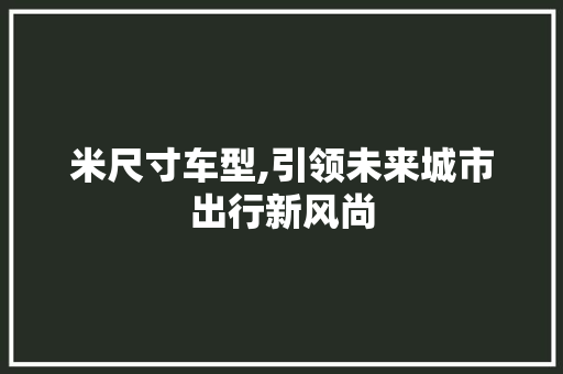 米尺寸车型,引领未来城市出行新风尚