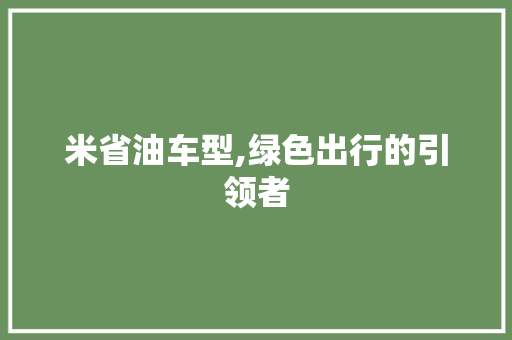 米省油车型,绿色出行的引领者