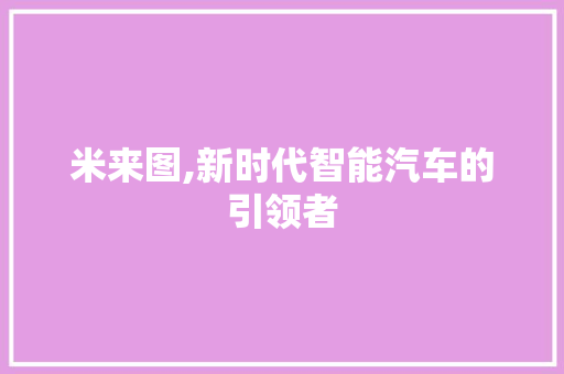 米来图,新时代智能汽车的引领者