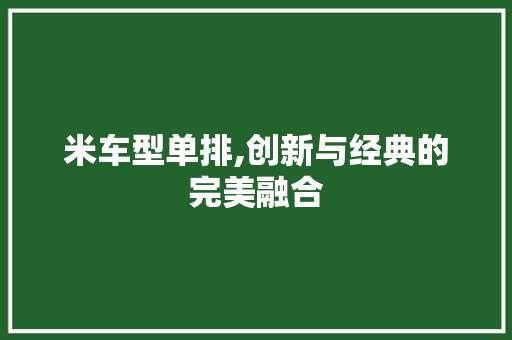 米车型单排,创新与经典的完美融合