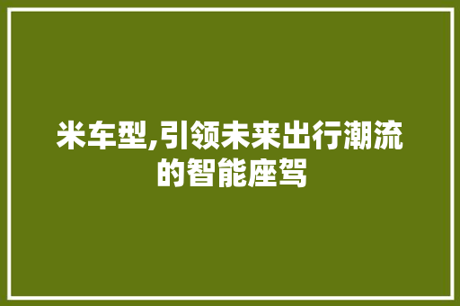 米车型,引领未来出行潮流的智能座驾