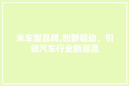 米车型品牌,创新驱动，引领汽车行业新潮流