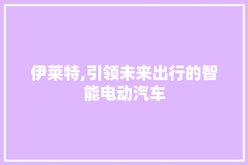 伊莱特,引领未来出行的智能电动汽车