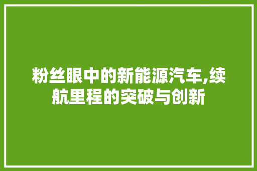 粉丝眼中的新能源汽车,续航里程的突破与创新