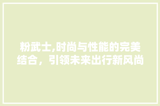 粉武士,时尚与性能的完美结合，引领未来出行新风尚