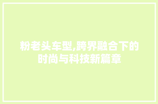 粉老头车型,跨界融合下的时尚与科技新篇章