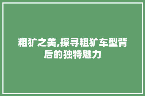 粗犷之美,探寻粗犷车型背后的独特魅力