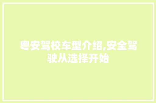 粤安驾校车型介绍,安全驾驶从选择开始