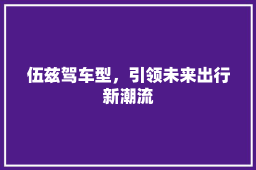 伍兹驾车型，引领未来出行新潮流