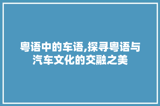 粤语中的车语,探寻粤语与汽车文化的交融之美