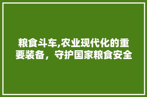 粮食斗车,农业现代化的重要装备，守护国家粮食安全的“守护神”