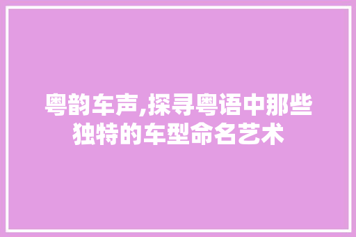 粤韵车声,探寻粤语中那些独特的车型命名艺术