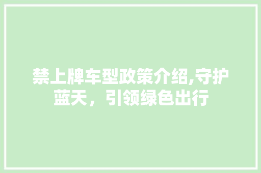 禁上牌车型政策介绍,守护蓝天，引领绿色出行