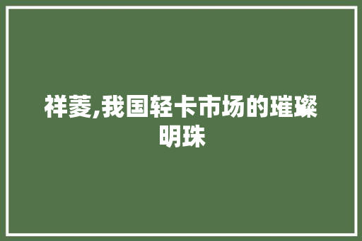 祥菱,我国轻卡市场的璀璨明珠 汽车配件