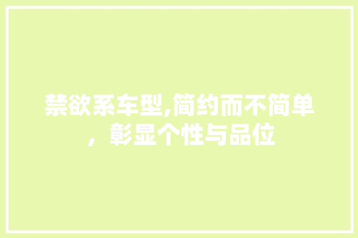 禁欲系车型,简约而不简单，彰显个性与品位