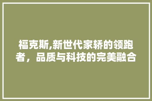福克斯,新世代家轿的领跑者，品质与科技的完美融合