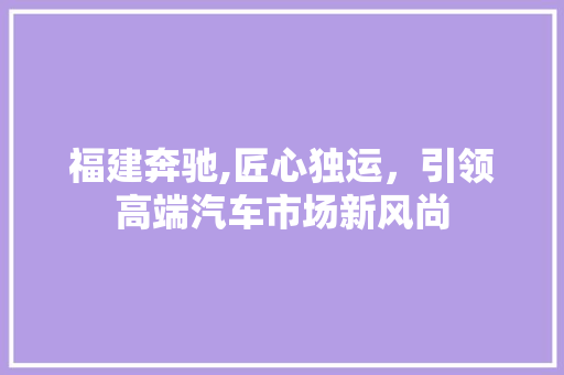 福建奔驰,匠心独运，引领高端汽车市场新风尚