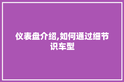 仪表盘介绍,如何通过细节识车型