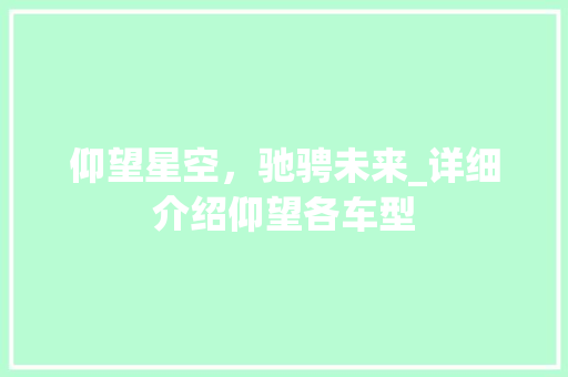 仰望星空，驰骋未来_详细介绍仰望各车型 车灯配件