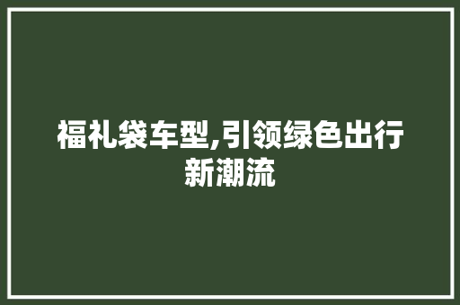 福礼袋车型,引领绿色出行新潮流