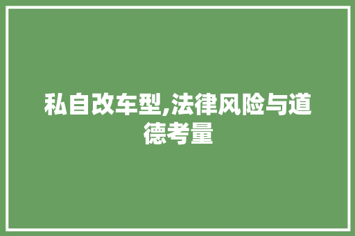私自改车型,法律风险与道德考量