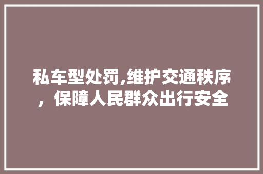 私车型处罚,维护交通秩序，保障人民群众出行安全