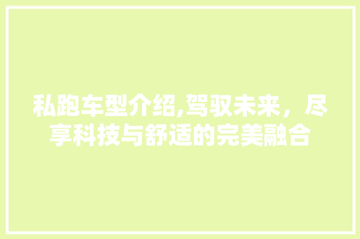 私跑车型介绍,驾驭未来，尽享科技与舒适的完美融合