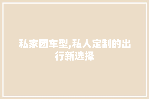 私家团车型,私人定制的出行新选择