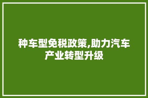 种车型免税政策,助力汽车产业转型升级
