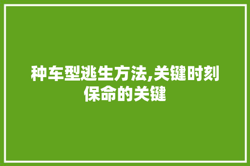 种车型逃生方法,关键时刻保命的关键