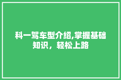 科一驾车型介绍,掌握基础知识，轻松上路