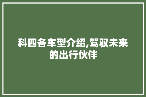 科四各车型介绍,驾驭未来的出行伙伴