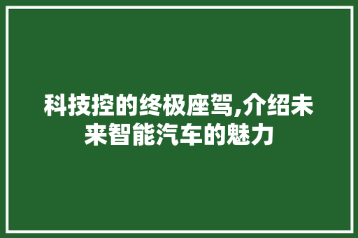 科技控的终极座驾,介绍未来智能汽车的魅力