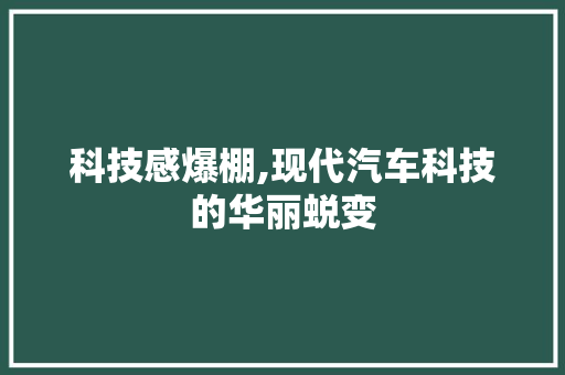 科技感爆棚,现代汽车科技的华丽蜕变