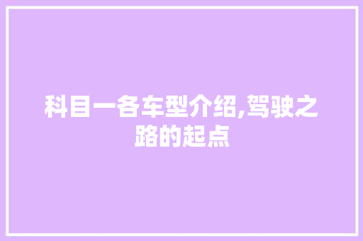科目一各车型介绍,驾驶之路的起点